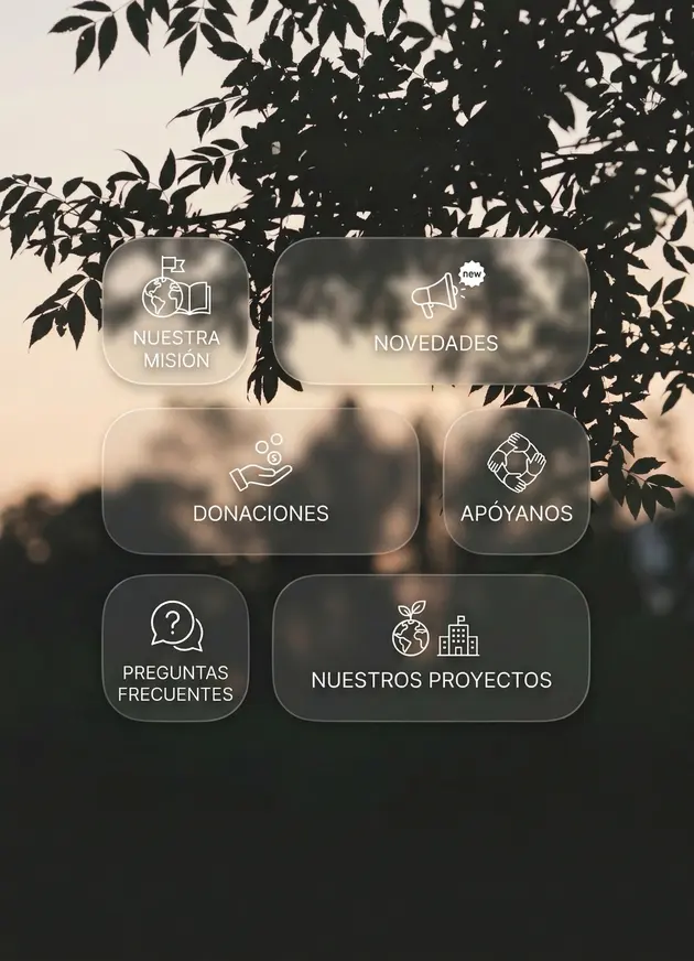 Captura de pantalla del panel del sitio web de una organización.